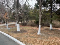 -长春世界雕塑园冰雪艺术天地