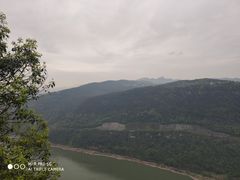 -铁山坪森林公园