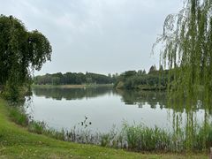 -无锡蠡湖国家湿地公园-蠡园
