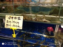 水产区-蚝得喜海鲜(东城店)