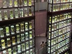 -广东中医药博物馆