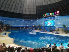 -泉城欧乐堡海洋极地世界