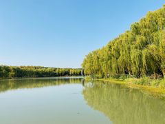 -昆山城市生态森林公园