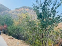 -北京西山国家森林公园