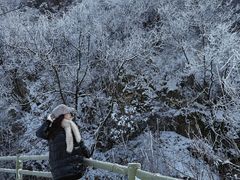 -秦岭终南山世界地质公园翠华山景区
