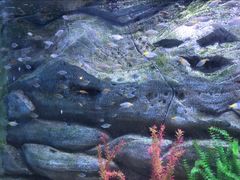 -芜湖新华联大白鲸海洋公园
