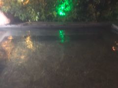 -天目湖御水温泉·度假酒店