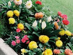 -BOCATA 西班牙餐厅(三里屯店)