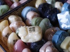-瑞穗牧场