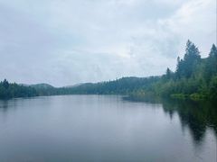 -五营红松林海景区