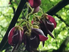 -溪口-滕头旅游景区