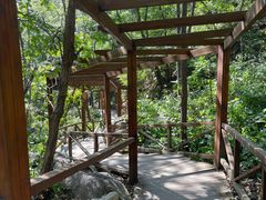 -大岭沟猕猴桃谷风景区