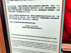 -迪士尼乐园停车场