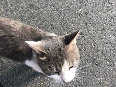 -四川大学(华西校区)