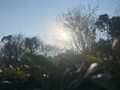 -敬亭山风景名胜区