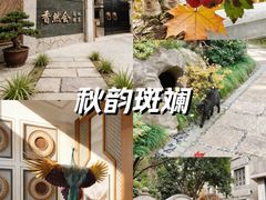 -香然会·园林雅宴(陆家嘴店)