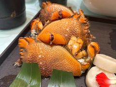 -丰卓会海鲜自助(中润大道店)