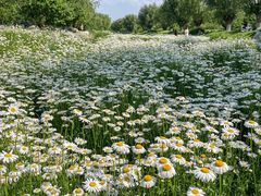 -汉长安城未央宫国家考古遗址公园