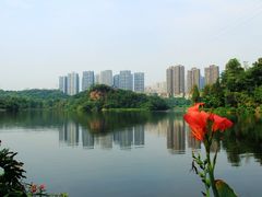 -重庆彩云湖湿地公园