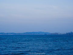 -海源公园