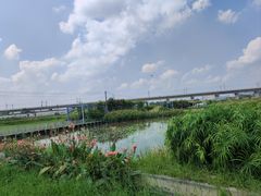 -光明小镇欢乐田园