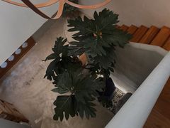 -像素研食The pixlab (皮市街店)
