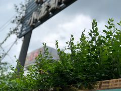 -霸王虾·麻辣小龙虾(清水河公园店)