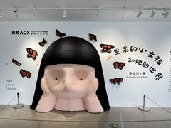 -辰熙ACX星海艺术中心
