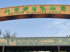 -北京野生动物园