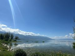 -永定河休闲森林公园