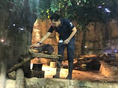 -迪拜水族馆及水下动物园