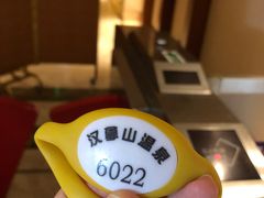 -汉拿山温泉度假酒店