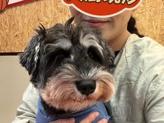 -和它·交个朋友·狗咖猫咖(爱琴海店)
