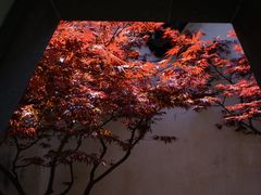 -沧浪亭