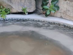 -碧水湾温泉
