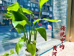 -乾隆美食·本帮菜(黄河路店)