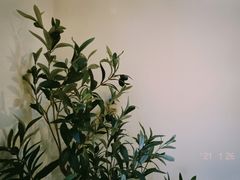 -奈诺甜品·生日蛋糕·下午茶(古城店)
