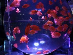 -海合安青岛极地海洋公园