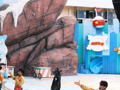 -海合安成都极地海洋公园