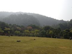 -火炉山森林公园