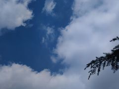 -照金香山旅游景区