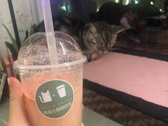 -有猫主题·治愈系猫咖(曾厝垵店)