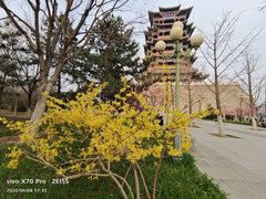 -门城湖公园