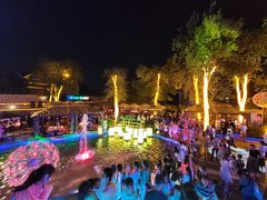 -鸿恩陶然大观园