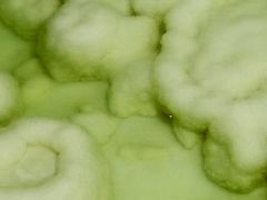 -察尔汗盐湖