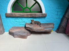 -北京野生动物园