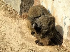 -济南野生动物世界