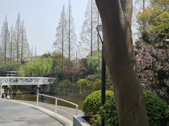 -兰溪青年公园