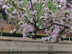 -元大都城垣遗址公园