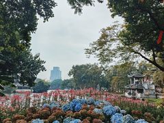 -荔湾湖公园
